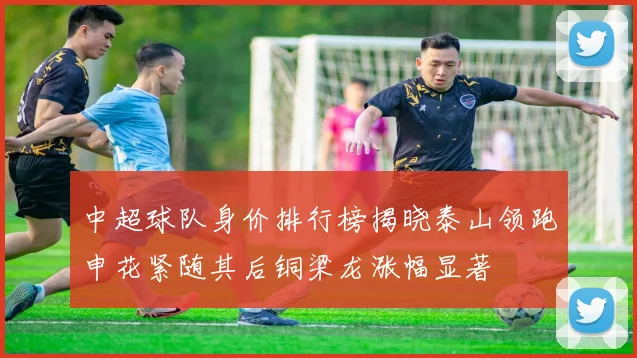 中超球队身价排行榜揭晓泰山领跑申花紧随其后铜梁龙涨幅显著