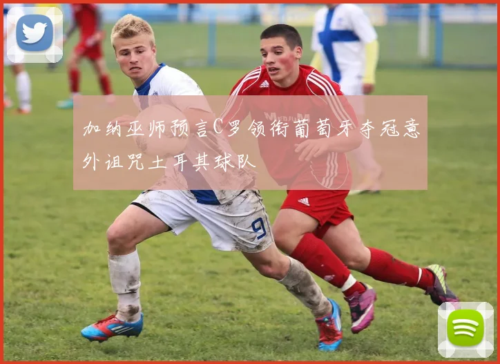 加纳巫师预言C罗领衔葡萄牙夺冠意外诅咒土耳其球队