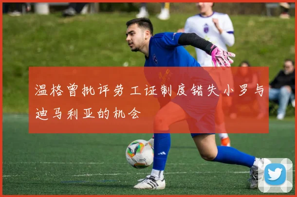 温格曾批评劳工证制度错失小罗与迪马利亚的机会